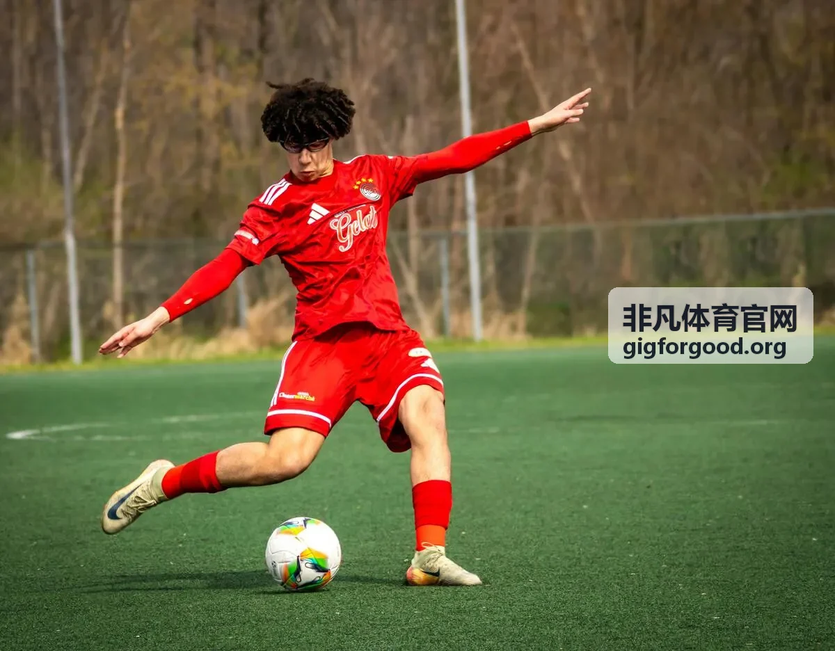 非凡体育官网装备与选购频道